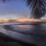 The Beach And The Birds